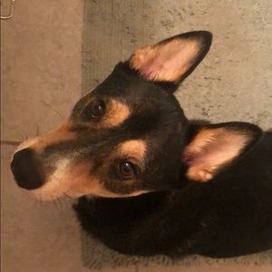 Meet your Posher, Ashley